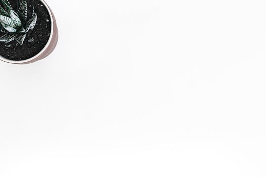 INFP Personality (Mediator) - Workplace Habits