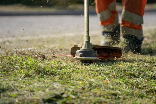 75 empleos de Mantenimiento de una finca