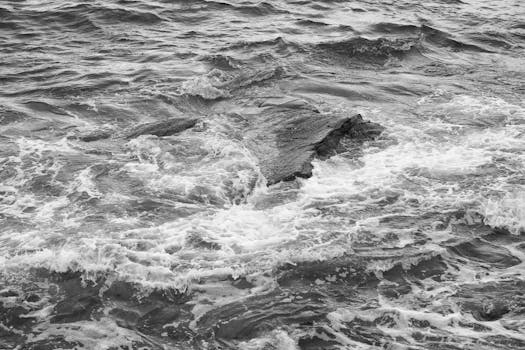 Grupo Constant Reviews - Trustima