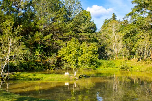 Ofertas de trabajo de Fcc medio ambiente