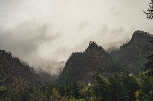 Contacta con nosotros